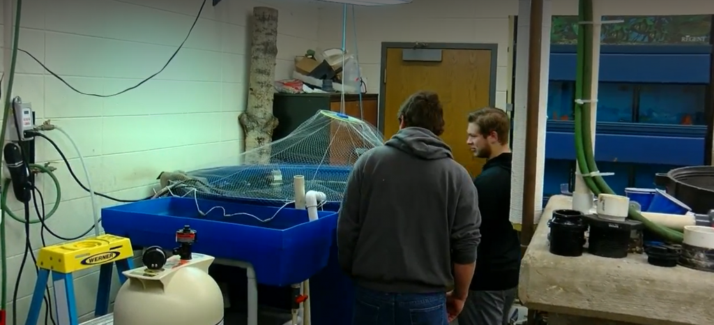 Green Bay students raise trout in class